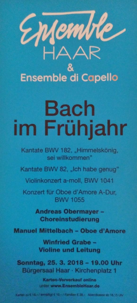 Bach im Frühjahr